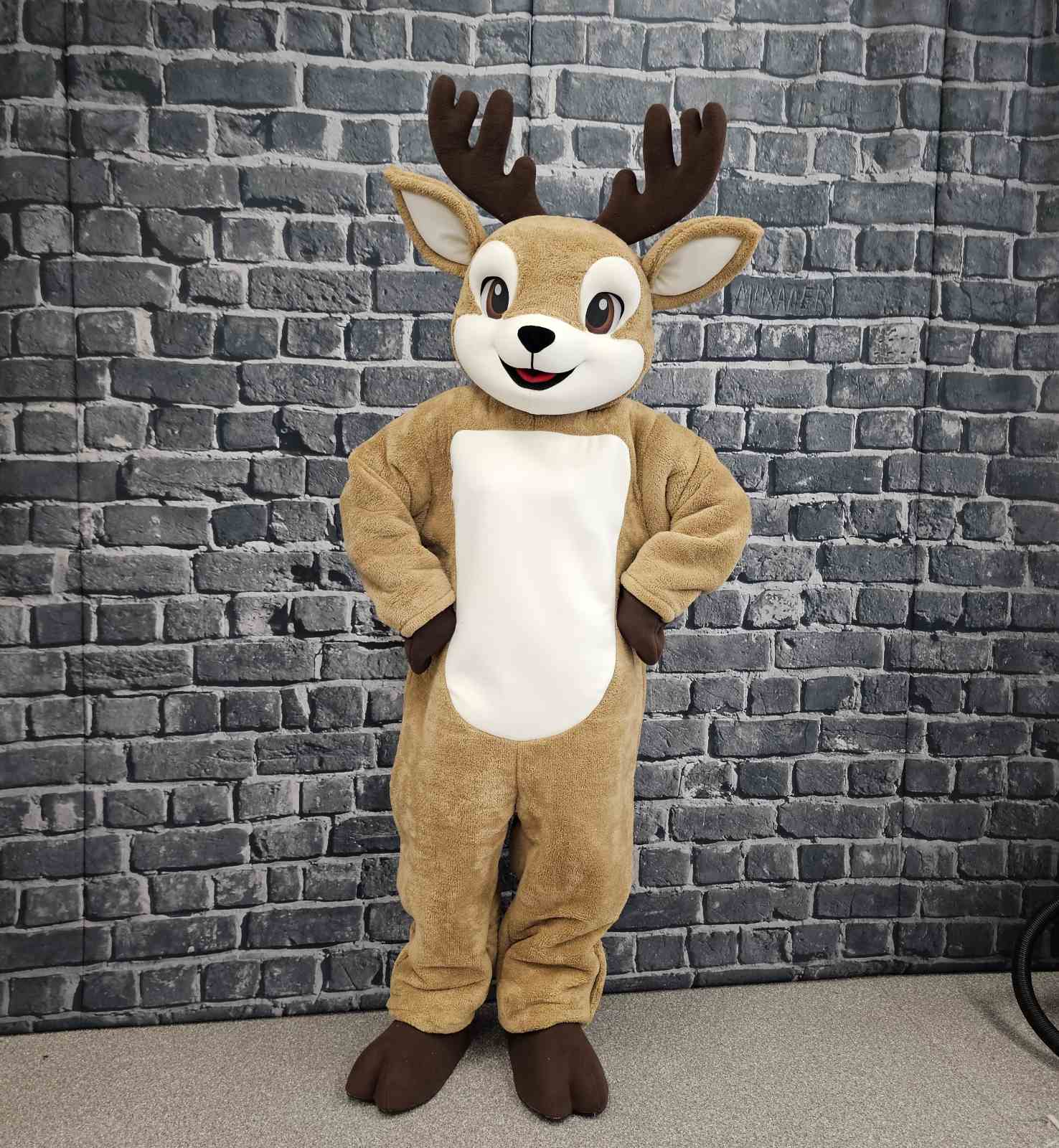 Mascot costumes